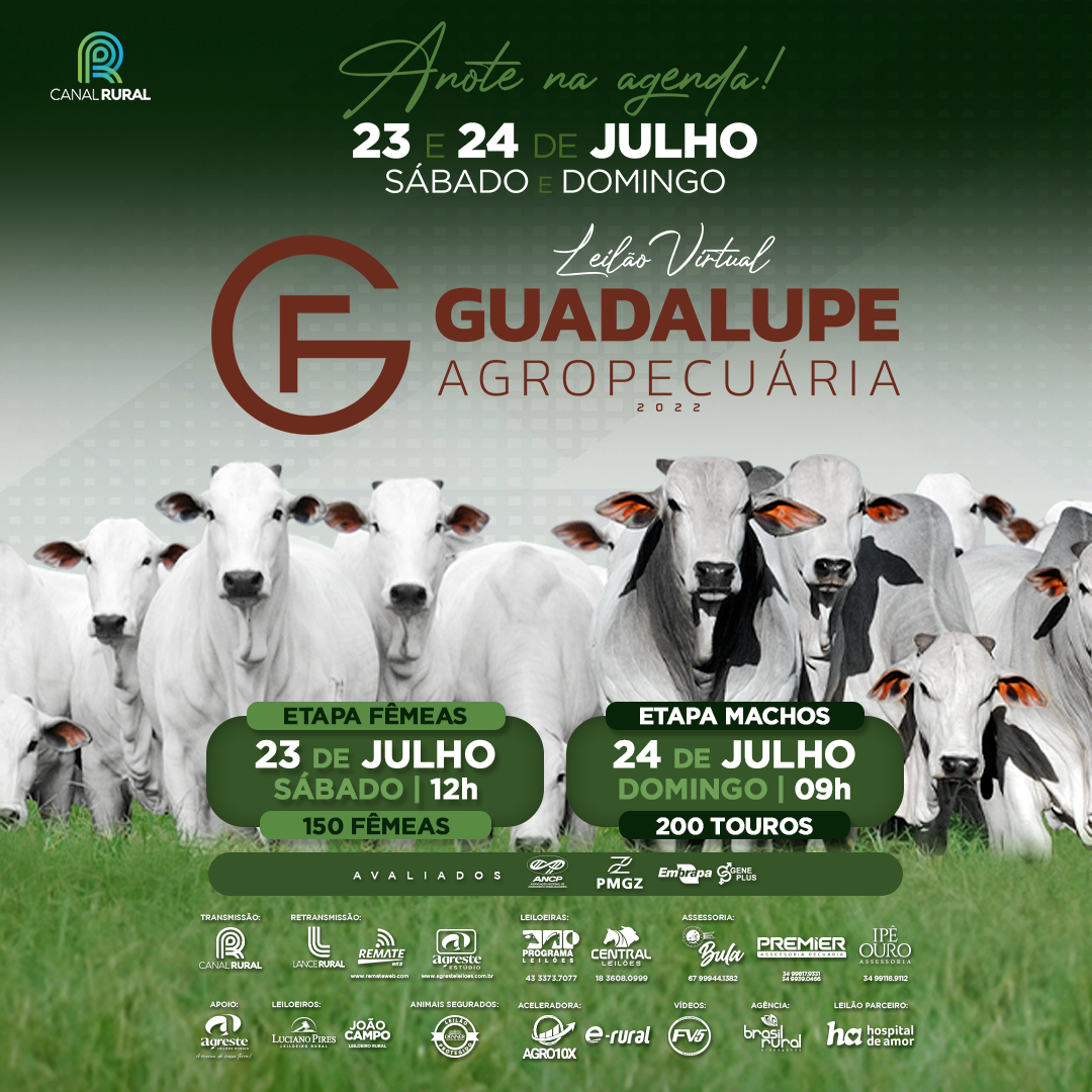 Leilão Virtual Guadalupe Agropecuária 2022 - Etapa Fêmeas 