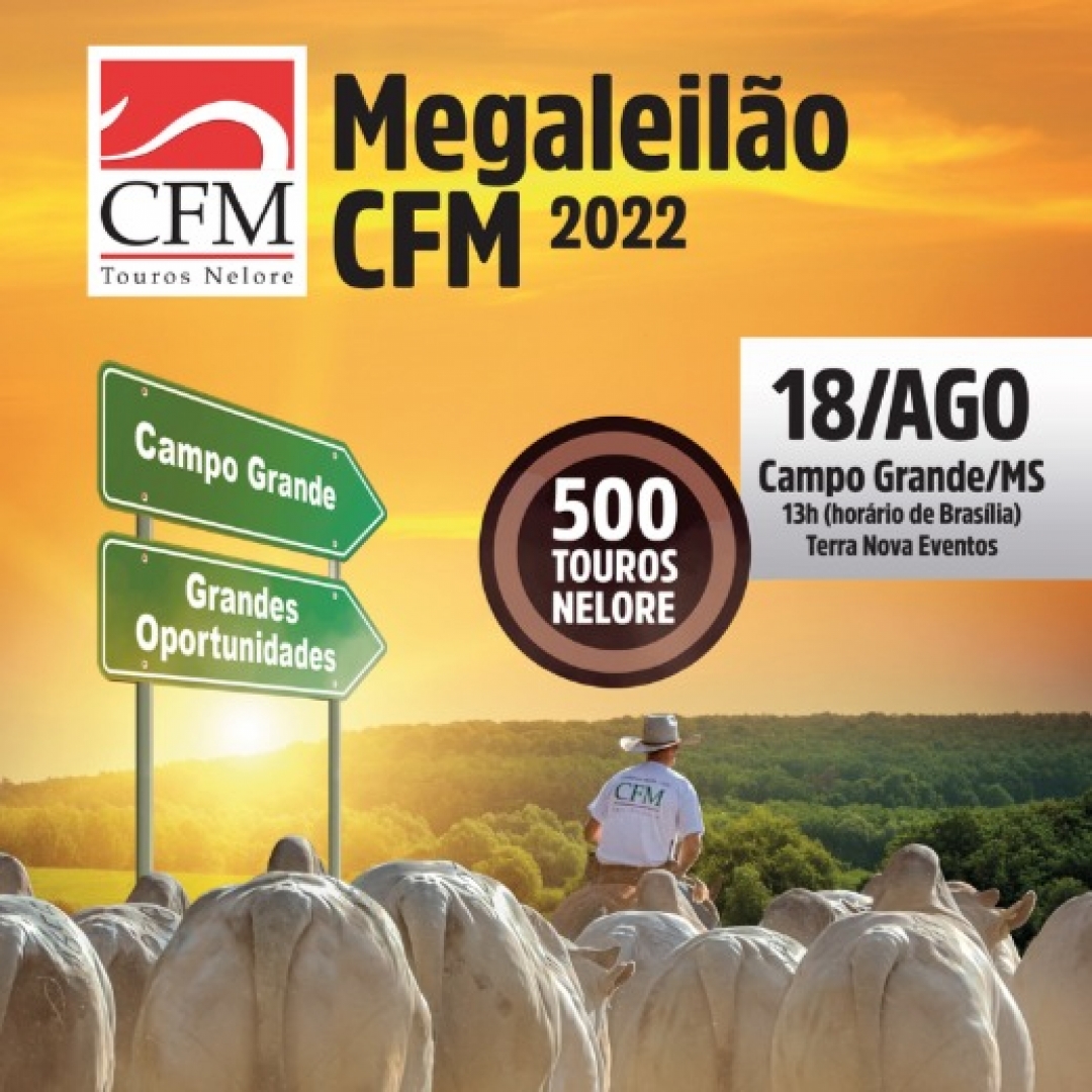 Megaleilão CFM 2022