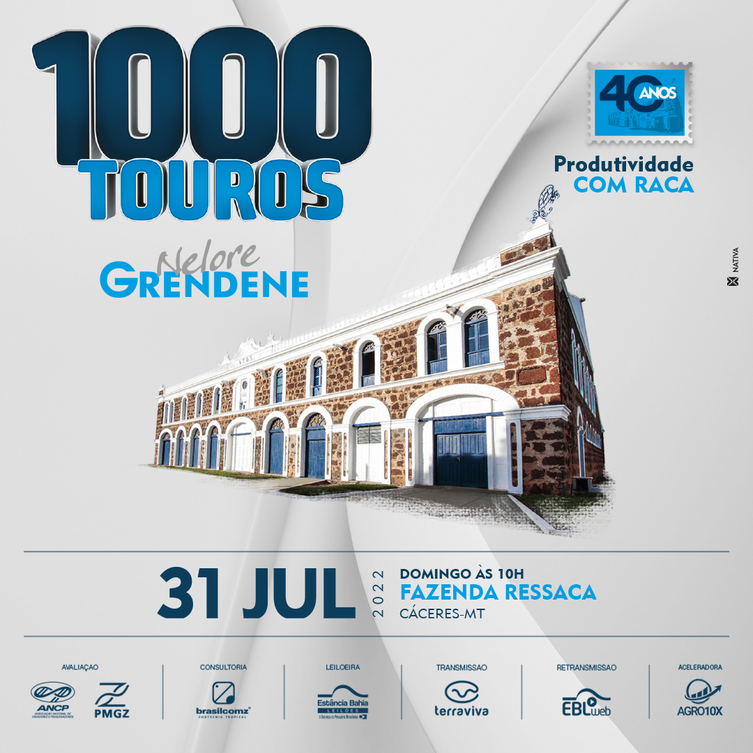 Leilão Nelore Grendene - 1000 Touros 