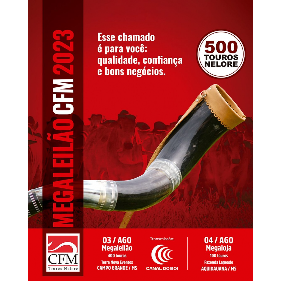 MEGALEILÃO CFM 2023