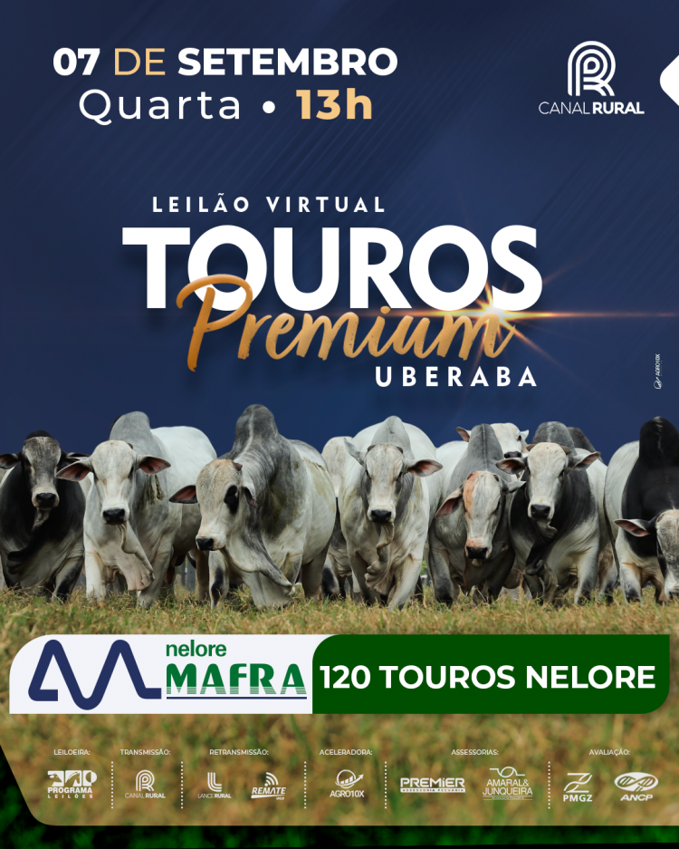 Leilão Mafra Touros Premium Uberaba 